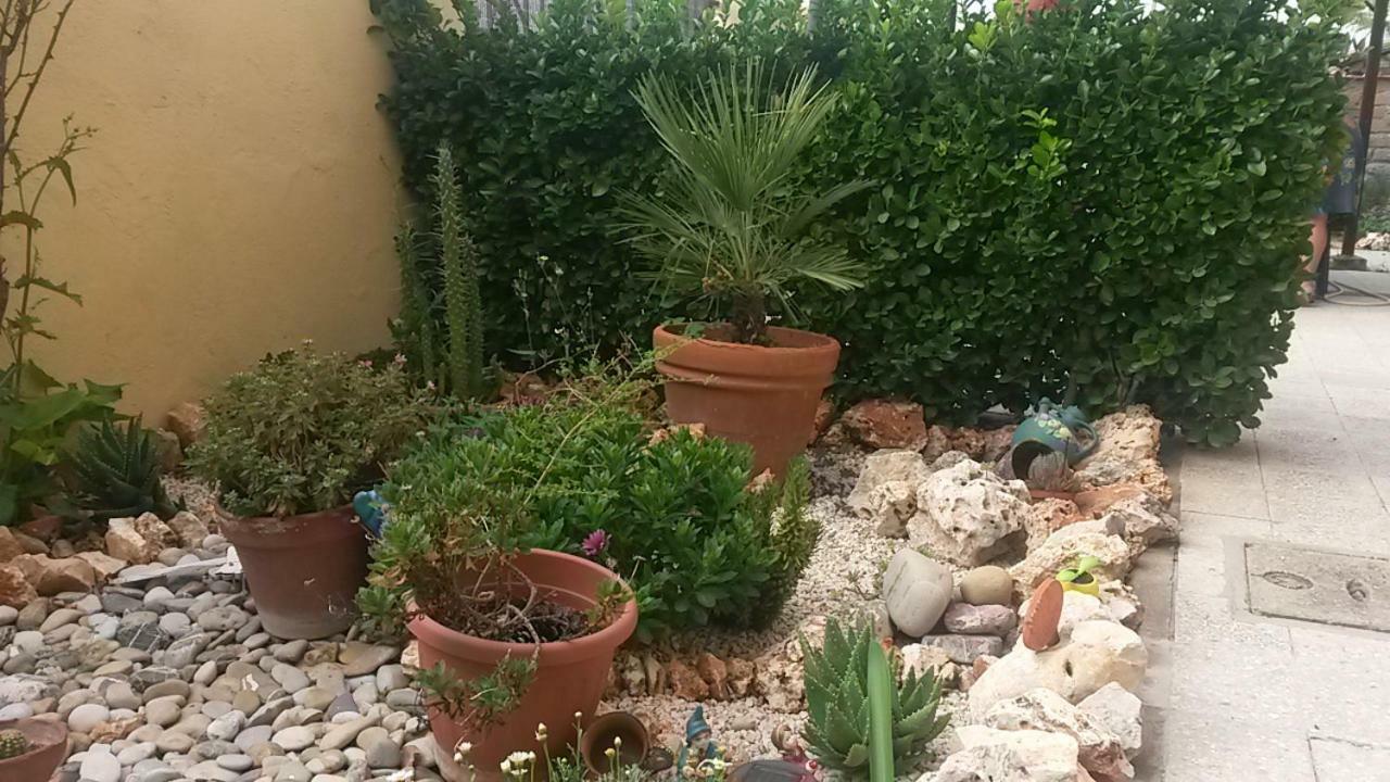 אוסטיה אנטיקה B&B Si Sta Bene מראה חיצוני תמונה